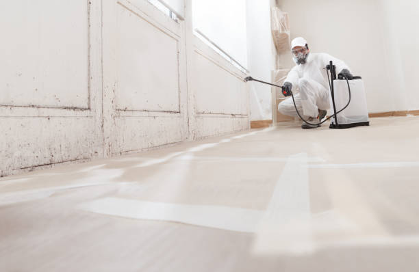 24/7 Emergency Mold Remediation experts in Berkeley Heights, NJ