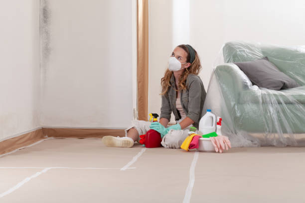 Reliable Mold Remediation contractor in Berkeley Heights, NJ by Cheap Mold Removal