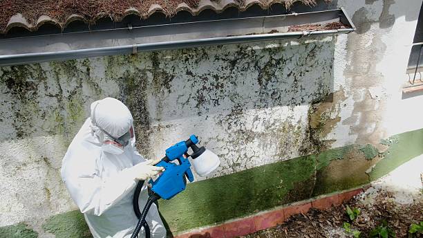 Top rated local Mold Remediation specialists in Berkeley Heights, NJ